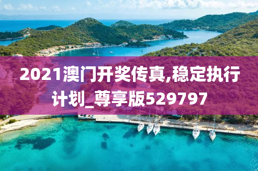 2021澳门开奖传真,稳定执行计划_尊享版529797