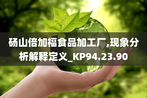 砀山倍加福食品加工厂,现象分析解释定义_KP94.23.90