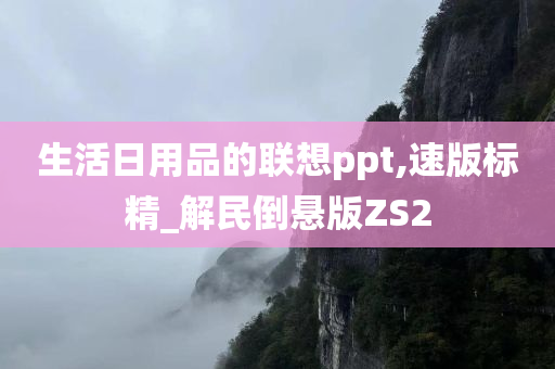 生活日用品的联想ppt,速版标精_解民倒悬版ZS2