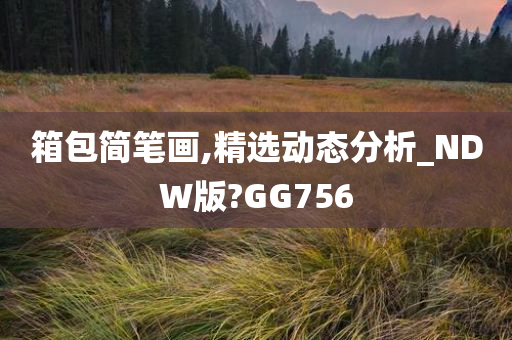 箱包简笔画,精选动态分析_NDW版?GG756