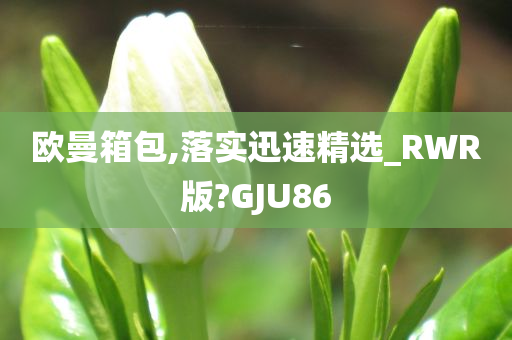 欧曼箱包,落实迅速精选_RWR版?GJU86