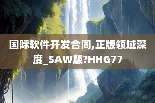 国际软件开发合同,正版领域深度_SAW版?HHG77