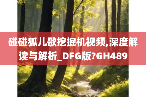 碰碰狐儿歌挖掘机视频,深度解读与解析_DFG版?GH489