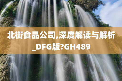 北街食品公司,深度解读与解析_DFG版?GH489