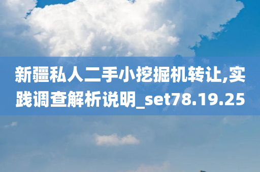 新疆私人二手小挖掘机转让,实践调查解析说明_set78.19.25