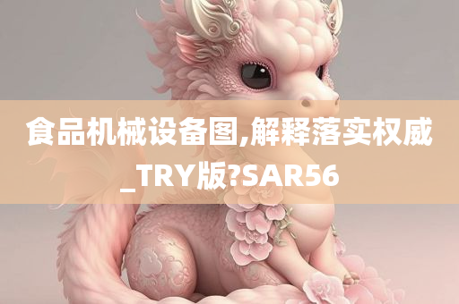 食品机械设备图,解释落实权威_TRY版?SAR56