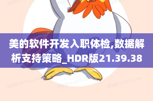 美的软件开发入职体检,数据解析支持策略_HDR版21.39.38