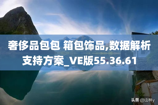 奢侈品包包 箱包饰品,数据解析支持方案_VE版55.36.61