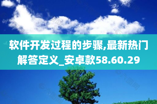 软件开发过程的步骤,最新热门解答定义_安卓款58.60.29