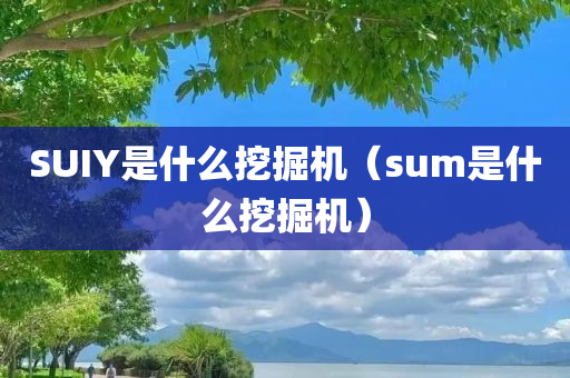 SUIY是什么挖掘机（sum是什么挖掘机）