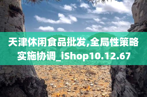 天津休闲食品批发,全局性策略实施协调_iShop10.12.67