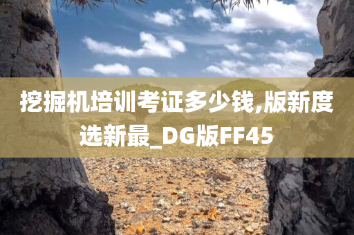 挖掘机培训考证多少钱,版新度选新最_DG版FF45