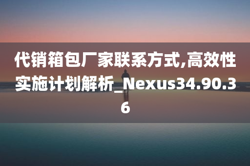 代销箱包厂家联系方式,高效性实施计划解析_Nexus34.90.36