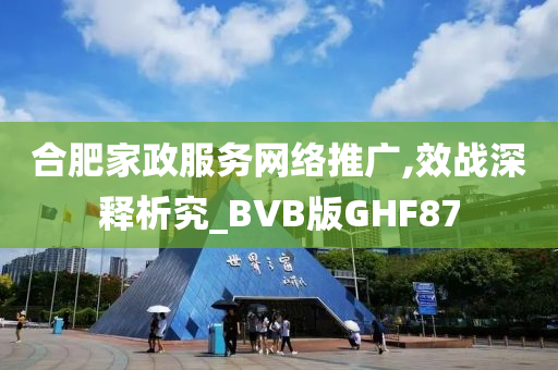 合肥家政服务网络推广,效战深释析究_BVB版GHF87