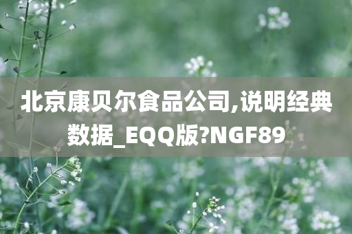 北京康贝尔食品公司,说明经典数据_EQQ版?NGF89