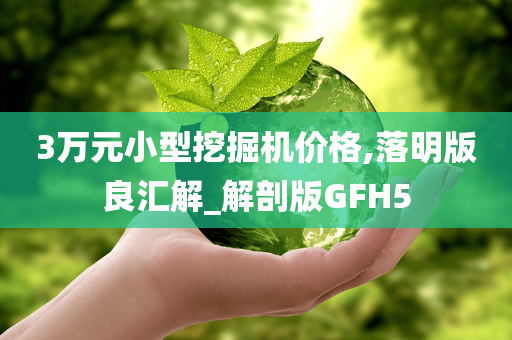 3万元小型挖掘机价格,落明版良汇解_解剖版GFH5