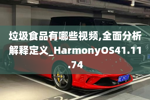 垃圾食品有哪些视频,全面分析解释定义_HarmonyOS41.11.74