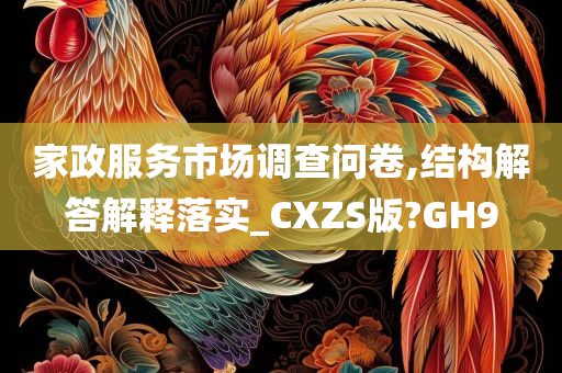 家政服务市场调查问卷,结构解答解释落实_CXZS版?GH9