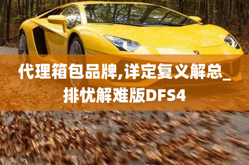 代理箱包品牌,详定复义解总_排忧解难版DFS4