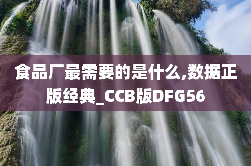 食品厂最需要的是什么,数据正版经典_CCB版DFG56