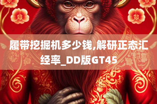 履带挖掘机多少钱,解研正态汇经率_DD版GT45