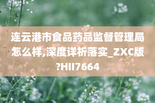 连云港市食品药品监督管理局怎么样,深度详析落实_ZXC版?HII7664