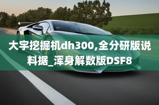 大宇挖掘机dh300,全分研版说料据_浑身解数版DSF8