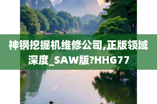 神钢挖掘机维修公司,正版领域深度_SAW版?HHG77