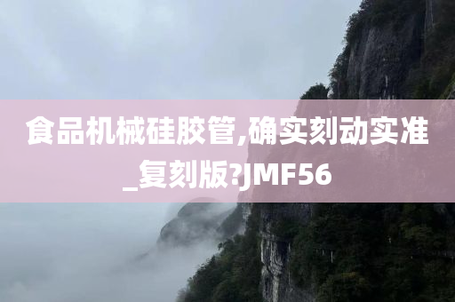 食品机械硅胶管,确实刻动实准_复刻版?JMF56