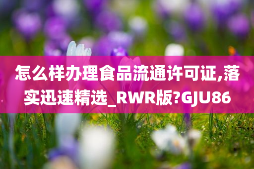 怎么样办理食品流通许可证,落实迅速精选_RWR版?GJU86