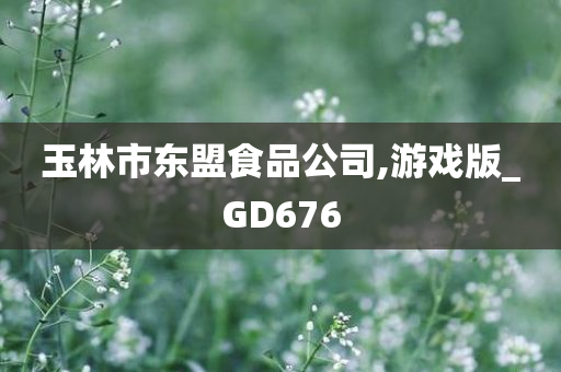 玉林市东盟食品公司,游戏版_GD676