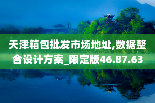 天津箱包批发市场地址,数据整合设计方案_限定版46.87.63