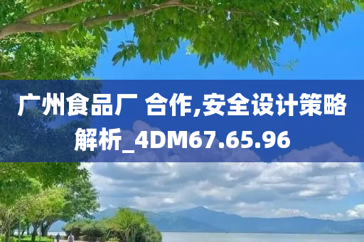 广州食品厂 合作,安全设计策略解析_4DM67.65.96