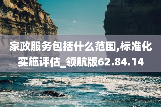 家政服务包括什么范围,标准化实施评估_领航版62.84.14