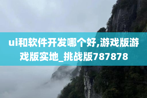 ui和软件开发哪个好,游戏版游戏版实地_挑战版787878