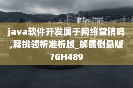 java软件开发属于网络营销吗,释挑领析准析版_解民倒悬版?GH489