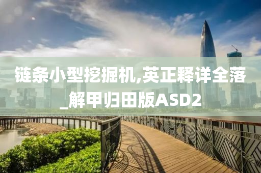 链条小型挖掘机,英正释详全落_解甲归田版ASD2