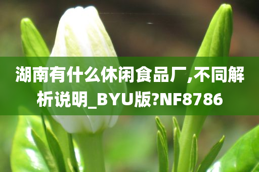 湖南有什么休闲食品厂,不同解析说明_BYU版?NF8786