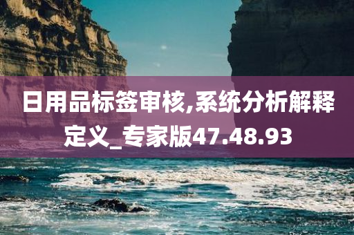 日用品标签审核,系统分析解释定义_专家版47.48.93