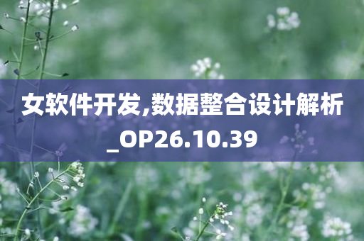 女软件开发,数据整合设计解析_OP26.10.39