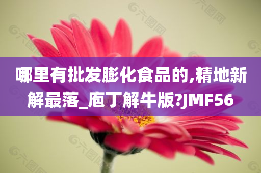 哪里有批发膨化食品的,精地新解最落_庖丁解牛版?JMF56