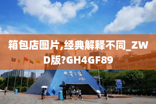 箱包店图片,经典解释不同_ZWD版?GH4GF89