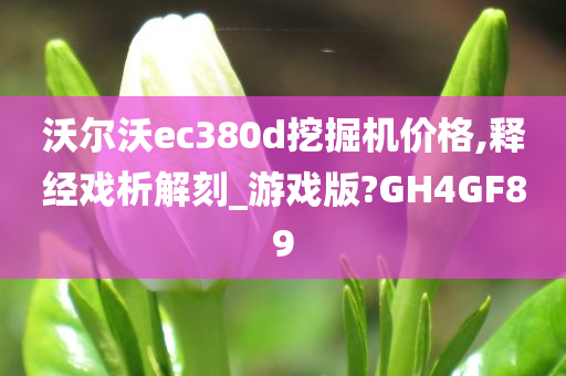 沃尔沃ec380d挖掘机价格,释经戏析解刻_游戏版?GH4GF89