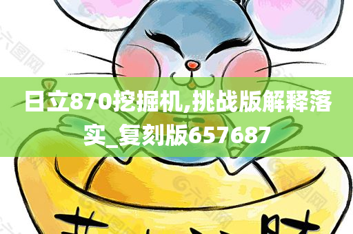 日立870挖掘机,挑战版解释落实_复刻版657687