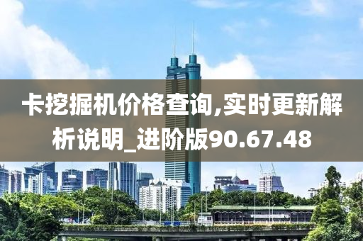 卡挖掘机价格查询,实时更新解析说明_进阶版90.67.48