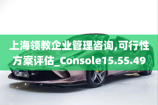 上海领教企业管理咨询,可行性方案评估_Console15.55.49