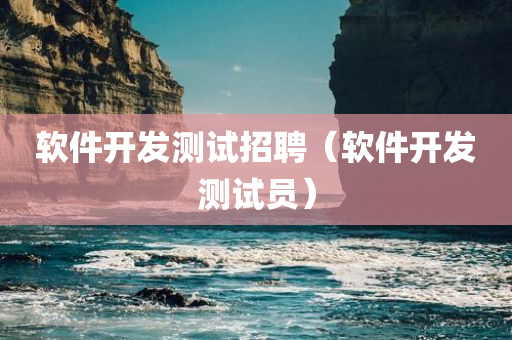 软件开发测试招聘（软件开发测试员）