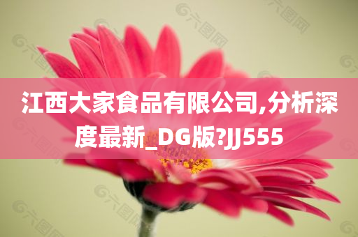 江西大家食品有限公司,分析深度最新_DG版?JJ555