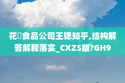 花媄食品公司王锶知乎,结构解答解释落实_CXZS版?GH9