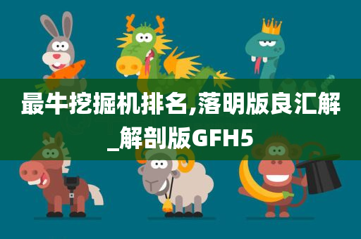 最牛挖掘机排名,落明版良汇解_解剖版GFH5